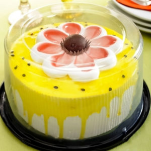 G 50CT PARATORTA PEQUENOUENA             (CX COM050) em Monte Verde MG