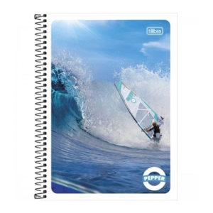 CADERNO 01X1 ESPIR C.FLEX 096F (12325) em Monte Verde MG