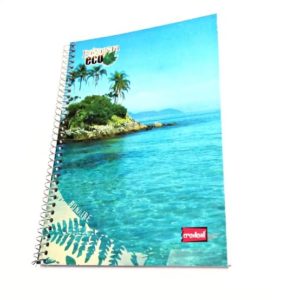 CADERNO  1/4 ESPIR C.FLEX 048F CREDEAL em Monte Verde MG