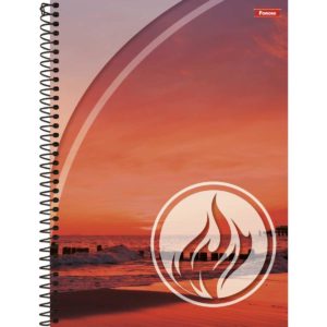 CADERNO ESPIRAL 1/4 CApa DURA QUATRO ELEMENTOS 80FLS  - FORONI em Monte Verde MG