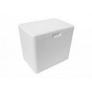 CAIXA DE ISOPOR  02 LTS em Monte Verde MG