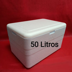 CAIXA DE ISOPOR   50 LTS 618X414X359 COMpaRALARG/ALT em Monte Verde MG
