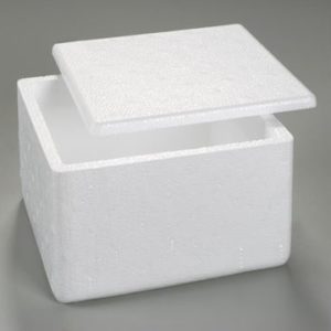 CAIXA DE ISOPOR M TAMPA em Monte Verde MG