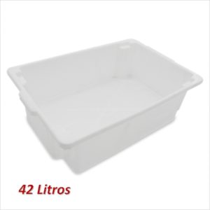 CAIXA FRIGORIFICA 42 LTS  PLASNEW em Monte Verde MG