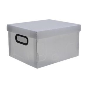 CAIXA ORGANIZ N.2-PEQUENOUE CR DELLO (56105) em Monte Verde MG