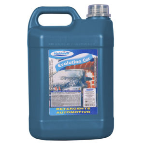DETERGENTE AUTOMOTIVO VALÊNCIA (GL COM05LTS) em Monte Verde MG